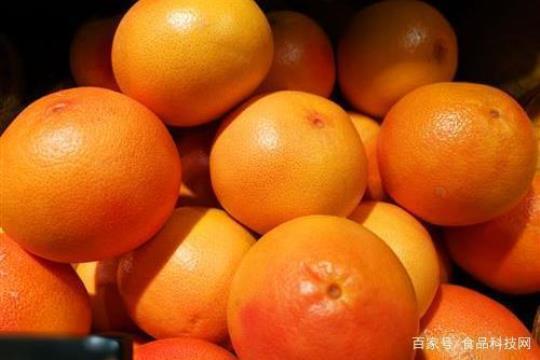 橙子属性凉还是热