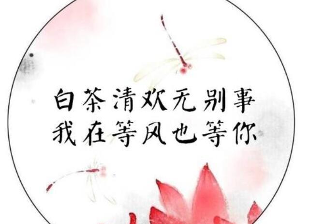关于古风唯美长句子大全 关于古风唯美的句子