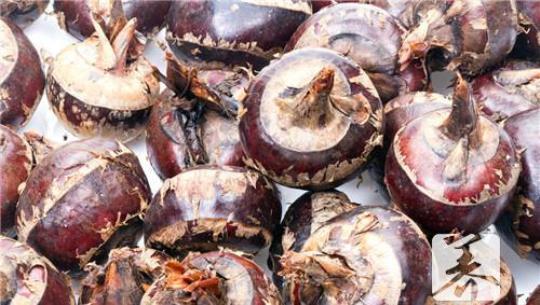 夏季吃10种食物滋补又降火 夏季特有的食物