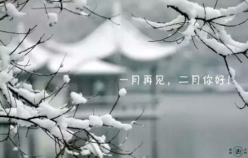 关于送给别人的二月唯美句子大全 关于送给别人小孩生日的祝福语八字
