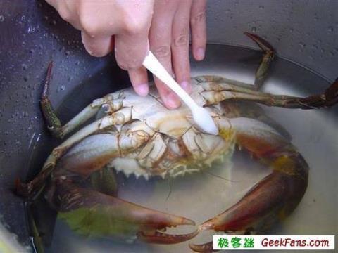 螃蟹怎么洗 螃蟹怎么吃视频教程