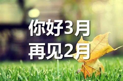 关于三月你好爱情唯美句子大全 关于三月你好的朋友圈文案卡通