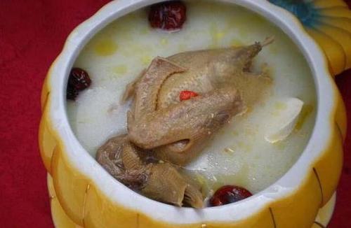 鸽子汤的功效 鸽子功效和作用