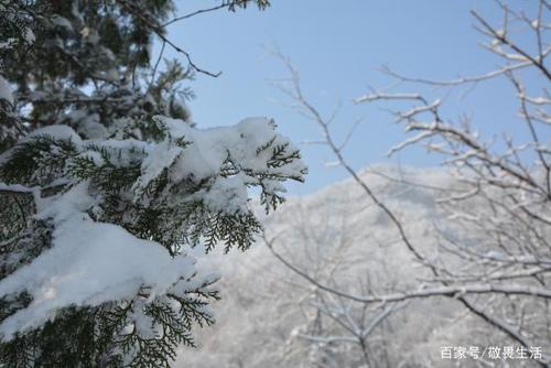 关于形容雪后登山的诗句合集(通用) 形容雪后的成语