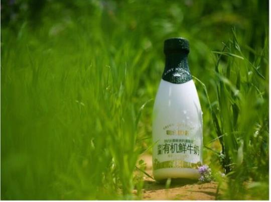 什么是有机奶 