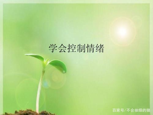 关于学会控制情绪的优美句子大全 关于学会控制情绪的感悟