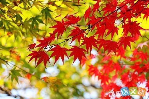 关于形容季节舒适的诗句合集(优选) 关于形容季节的四字成语