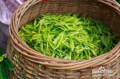 是雨前茶好还是明前茶好 