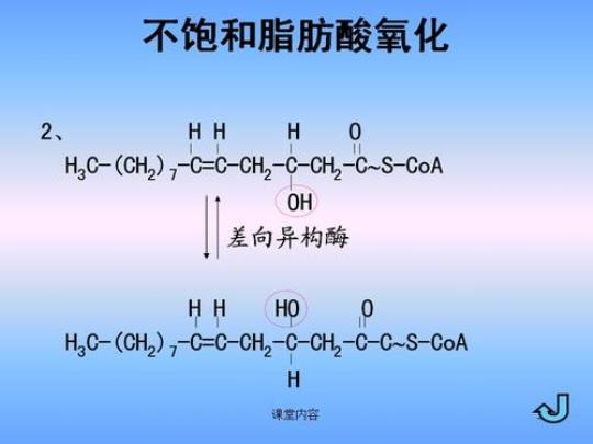 什么是不饱和脂肪酸 什么水果补充维生素C