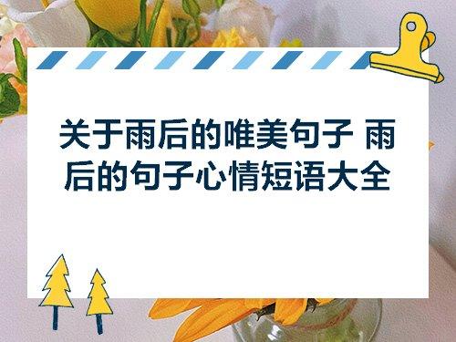 关于雨后心情好的的句子大全 关于心情句子说说心情短语