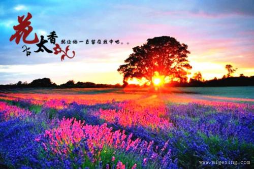 关于形容成功优美句子大全 关于形容成功的成语