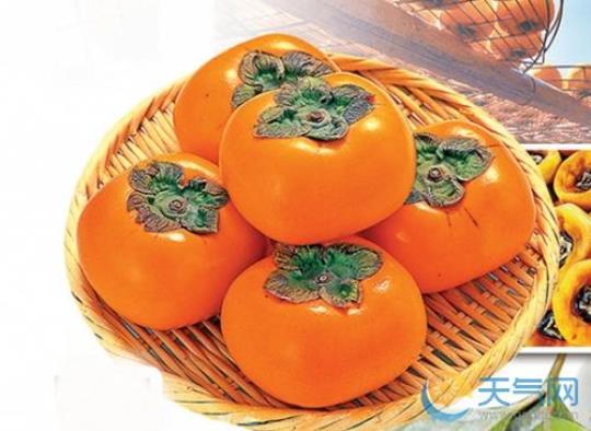柿子不能和什么一起吃 柿子不能什么水果食物一起吃