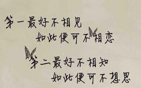 关于形容两个再不相见的诗句合集(实用) 关于形容两个人一起埋进棺材的古风文案