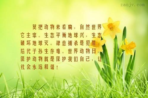 关于完美大自然唯美句子大全 大自然小完美艺术馆