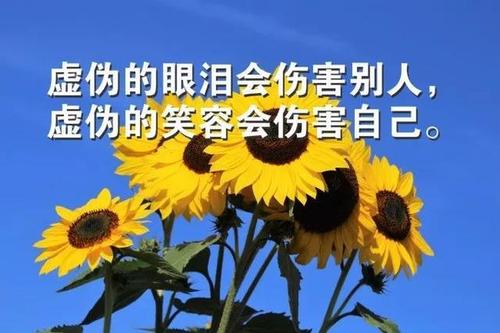 关于朋友圈说说的励志句子唯美大全 关于朋友圈励志文案