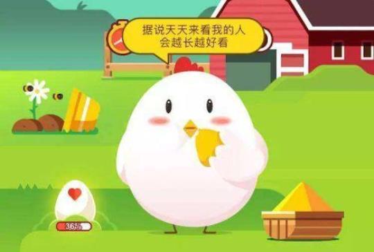 小鸡宝宝考考你：香蕉树其实是一种？