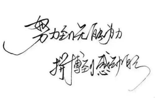 关于鼓励女人努力奋斗的句子说说心情大全 关于鼓励女人的句子