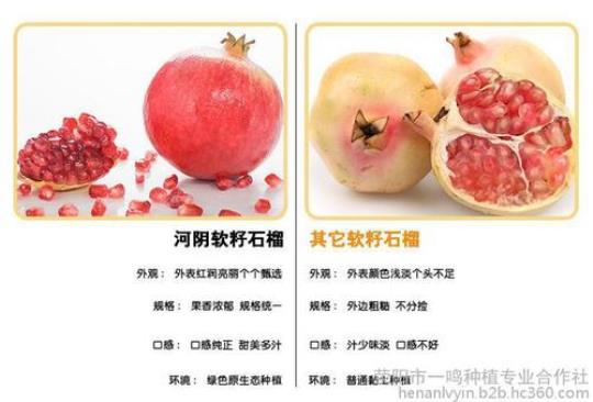 石榴的营养 石榴营养成分表100g