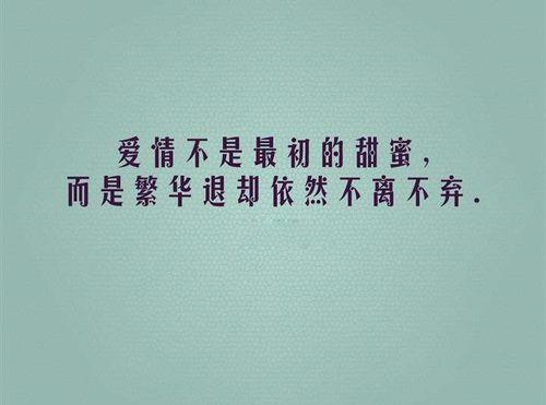 形容两个人爱情的唯美句子