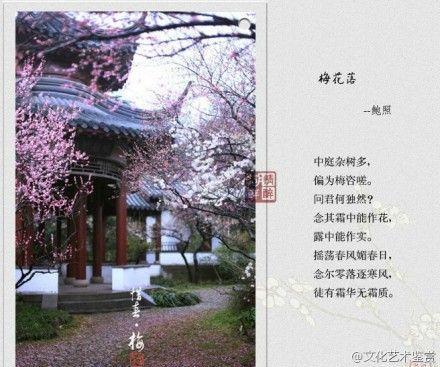 俏的诗句