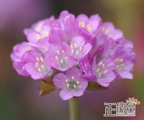 自己祝福自己的微信句子说说心情短语