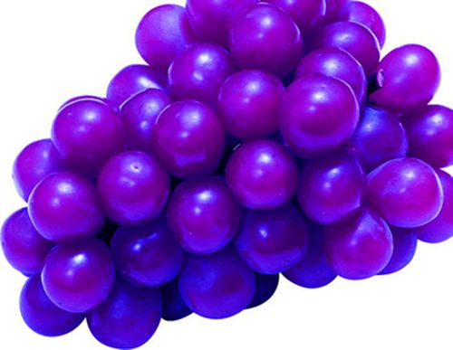 关于描写紫色葡萄的优美句子大全 关于描写紫色的诗句有哪些