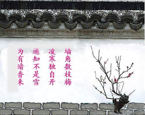 一年级赞美梅花的诗句