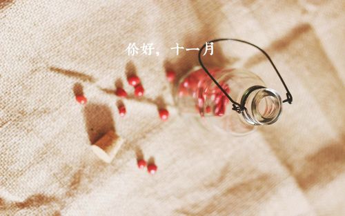 关于赞美11月的唯美句子大全 关于赞美110接处警的文章