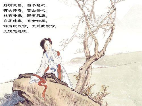 关于形容诗经的诗句合集(通用) 用一句话形容诗经