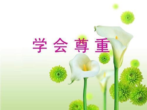 描写学会尊重的优美句子