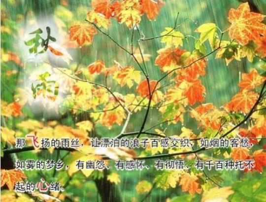关于形容秋天雨夜的诗句合集(优选) 关于形容秋天的诗句