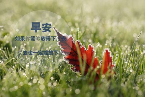 关于早安鼓励自己的短句子说说心情大全 早安鼓励短句