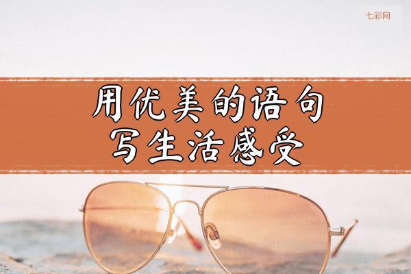 用优美的语句写生活感受