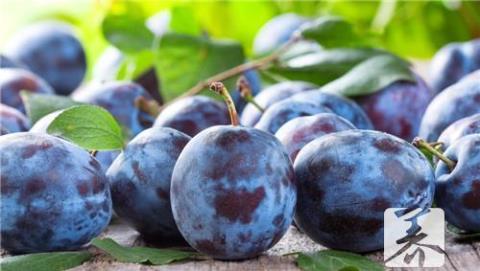 9种食物延缓衰老 食物相克大全表
