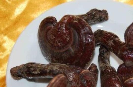 灵芝怎么吃