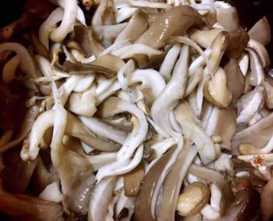 平菇的做法大全 平菇种植技术视频教程
