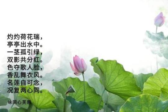 描写花的诗句小学