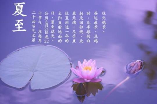 关于对时间感慨的诗句合集(通用) 关于时间感慨的句子
