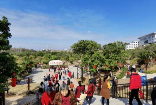 兴宁合水旅游景点图片欣赏（带你领略美景）