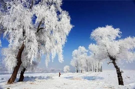 12月旅游去哪里好(最佳旅游景点推荐)