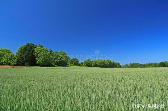 关于描写五月田野的优美句子大全 关于描写五月的诗句古诗