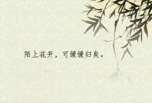 关于古风生活句子唯美大全 关于古风生活的软件