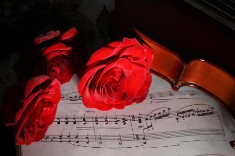 关于西方玫瑰为题目的诗句合集(通用) 西方关于玫瑰的诗