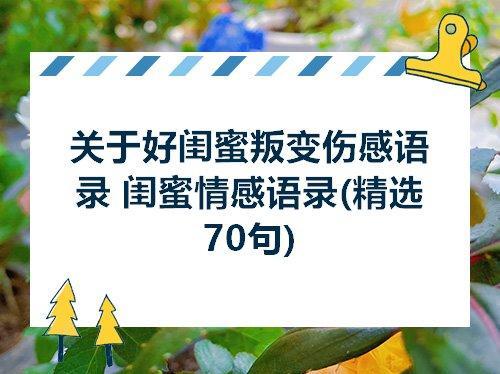 关于形容闺蜜或者好兄弟的诗句合集(精选) 关于形容闺蜜的幽默朋友圈