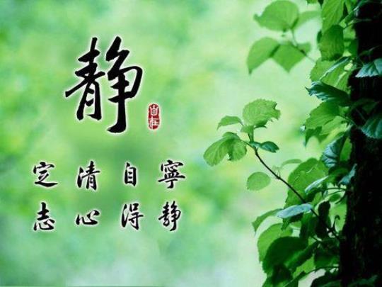 关于心情淡泊宁静的句子大全 心情淡泊宁静的诗句