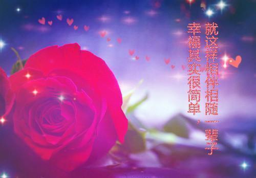 关于带惠字唯美句子大全