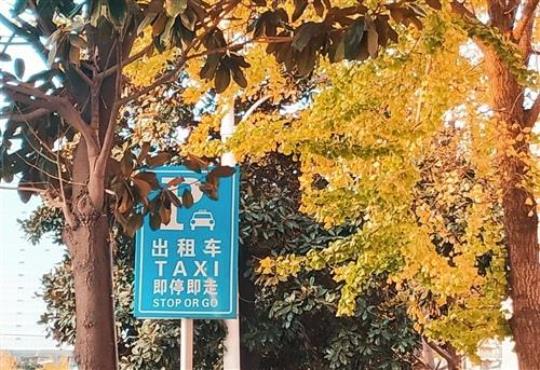 归家车上的唯美句子