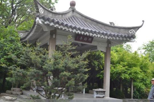 关于古林公园的诗句或者俗语有哪合集(实用) 南京古林公园地址