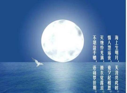关于两句明月的诗句合集(通用) 关于明月的两句诗