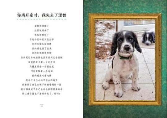 关于形容女生呆萌傻的诗句合集(精选) 关于形容女生美的诗句